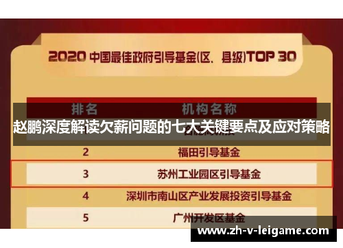 赵鹏深度解读欠薪问题的七大关键要点及应对策略